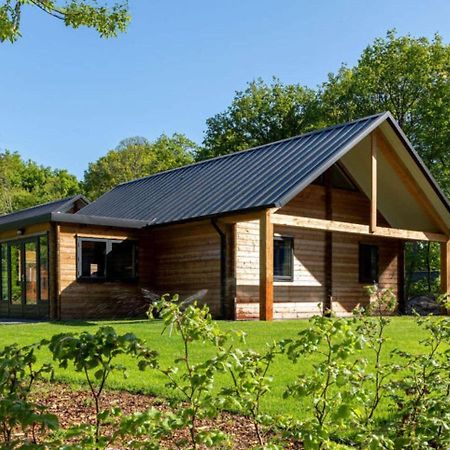 Cosy Wooden House Amid Woods In Soesterberg Utrecht Exterior foto